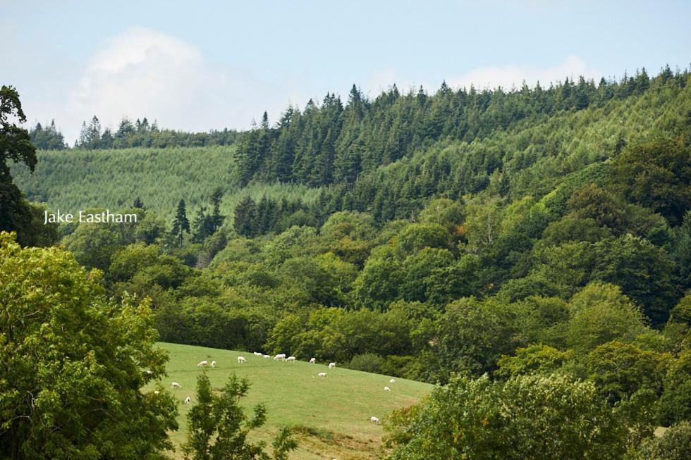 Sid Valley Country House Hotel Sidmouth Exterior photo