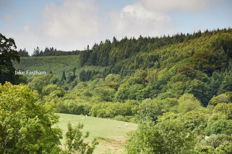 Sid Valley Country House Hotel Sidmouth Exterior photo